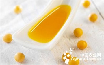 食用油价格低位运行 需求疲软、转基因油难销售是主因