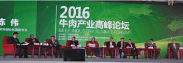 进口牛肉来势汹汹，本土牛企如何“牛”起来？