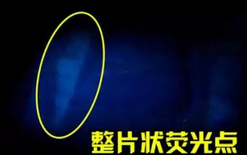 QQ截图20160311224545