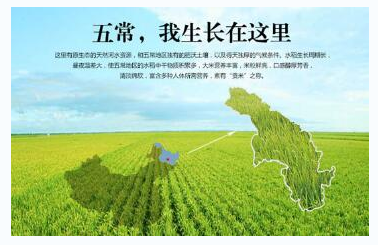 QQ图片20160408083433