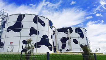 蒙牛中秋换帅 卢敏放接替孙伊萍出任蒙牛总裁