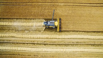 旗下一荷兰粮食贸易公司出现10亿元亏空 中粮成就世界大粮商路上再次遇挫