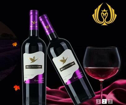 广州天鹅堡酒业 法国欧诗图大陆唯一代理商