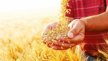 来宝之后再全资拥有Nidera 中粮真的跻身顶级粮商了么