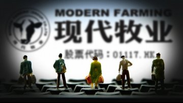 现代牧业迷失终端