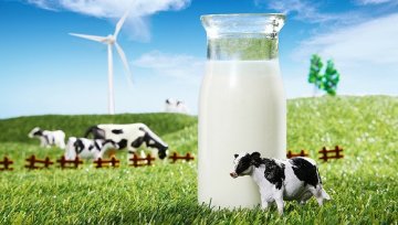 又一家中国乳企洽购澳洲公司 中小乳企也掀起并购热