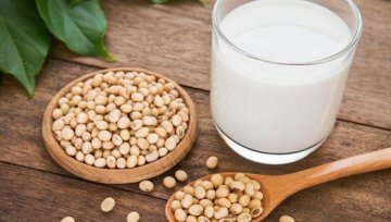 洽洽升级植物蛋白饮料 继续多元化