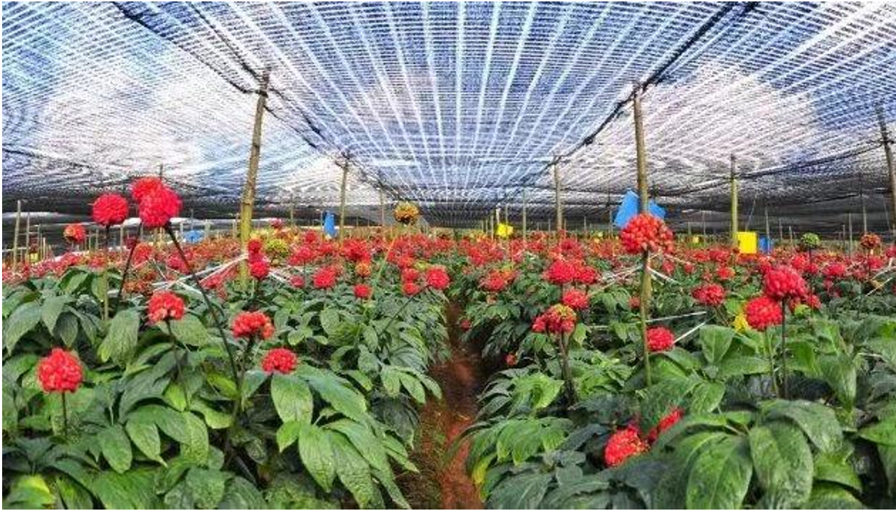 微信图片_201811291918592