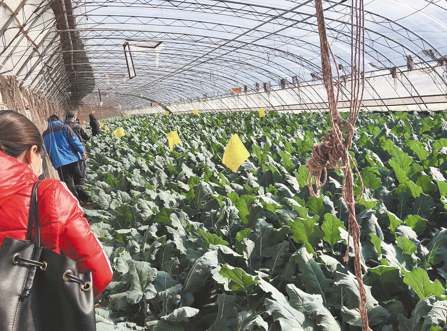 微信图片_20181225130340