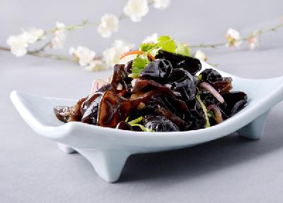 1123947909_15465826147891n