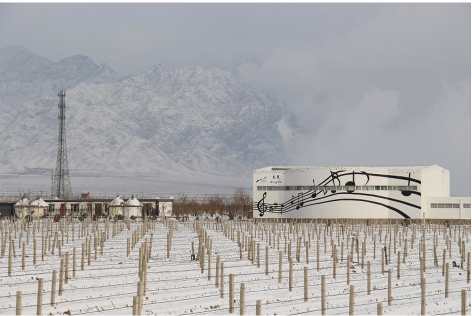 微信图片_201901151629522