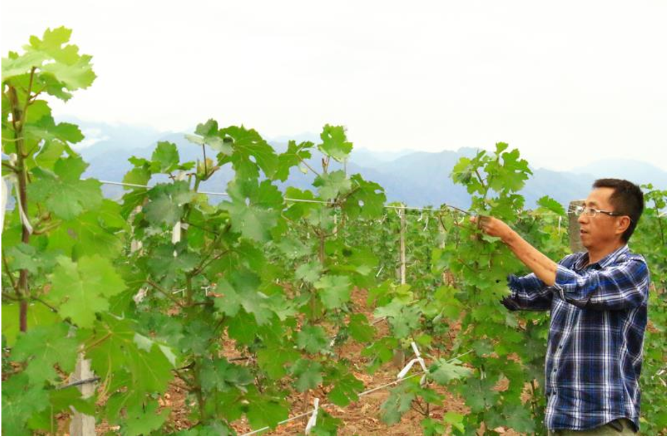 微信图片_201901151629523