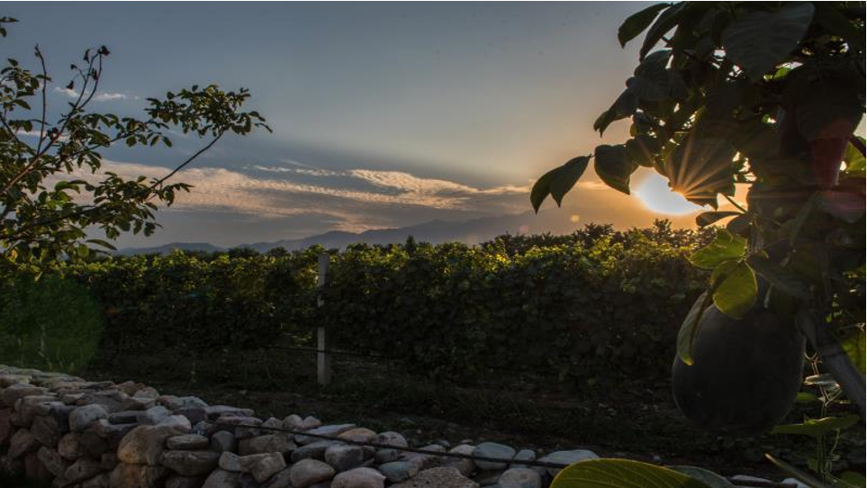 微信图片_201901151629521