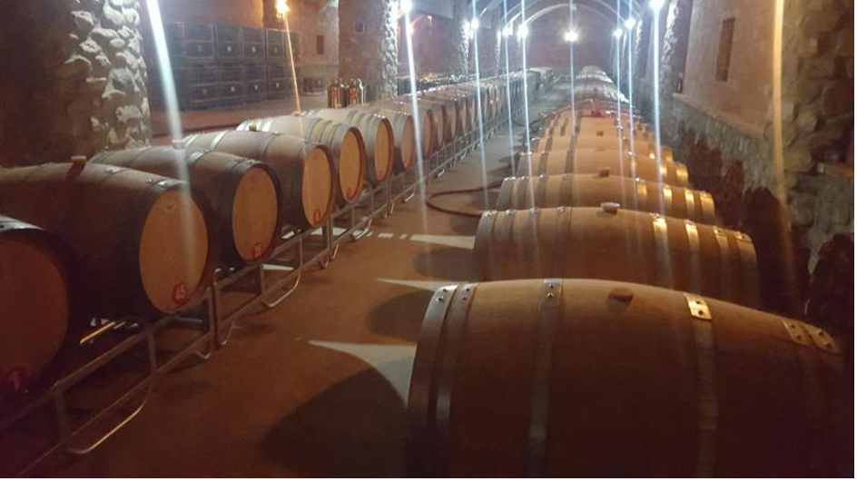 微信图片_201901151629524