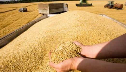  双管齐下托举粮食行业老字号创新发展