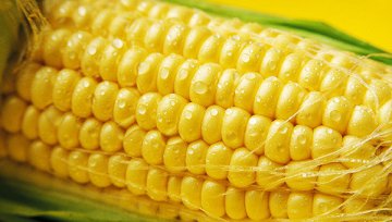 西王集团欲转型国际粮商,做大、做精、做强