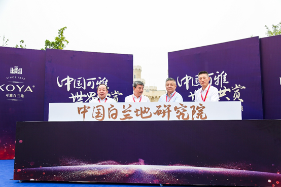 1562032641492582.png image.png