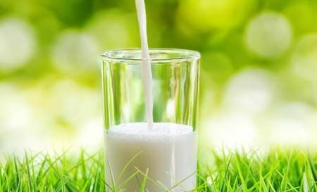 “一杯奶”中看经济发展：从奢侈品到餐桌上“常客”