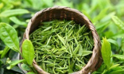 市场监管总局撤销7批次有机绿茶产品认证证书