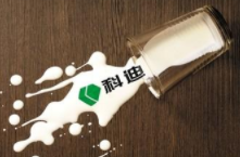 科迪乳业多事之秋难度过？
