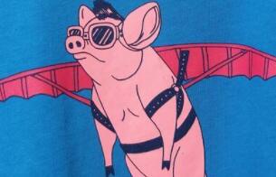 补助+贴息硬举措稳猪价