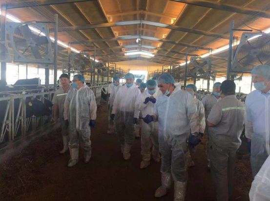 图片.png 图片.png