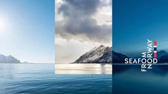 百年伟鳕罗蓝，取深海营养献精致关怀