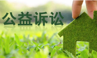 互联网民事公益诉讼适用惩罚性赔偿制度