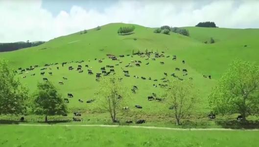 蒙牛乳业“新基建”为乳业发展带来新机遇