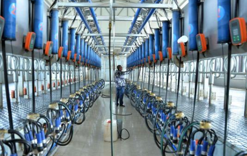 亚奥特乳业：抓好源头做好奶