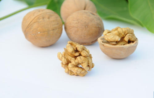 2019年中国核桃行业发展现状及发展趋势分析