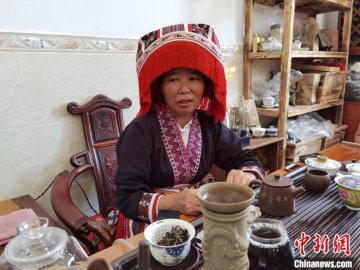 广西梧州 千年六堡茶成致富黄金叶