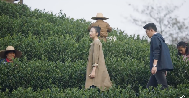 中国茶叶、澜沧古茶如何破局？