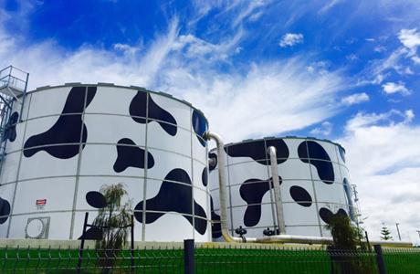 蒙牛成中国圣牧单一最大股东