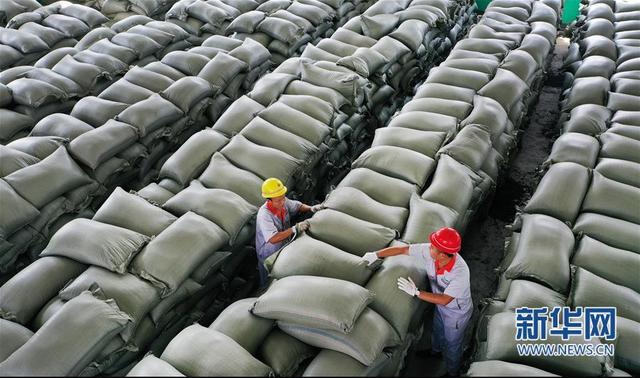 陕西华州:小小花椒树 致富大产业