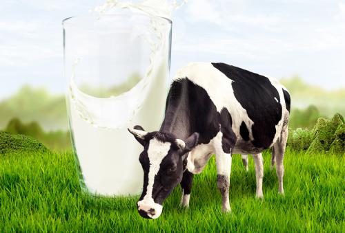 立足地域优势 打造乳品企业可持续发展之路