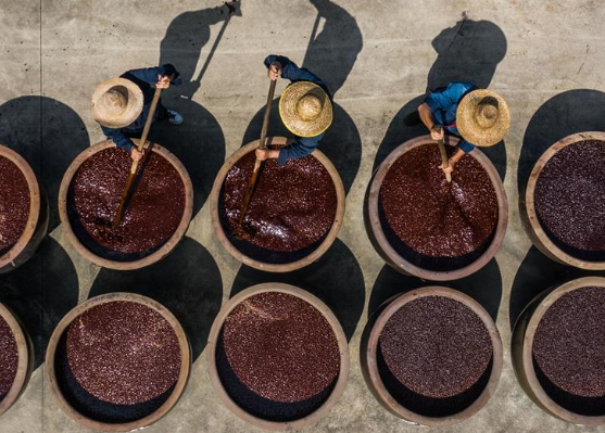 “三伏”晒酱 传统酱品香飘满园