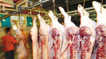 猪价高位，养一头猪能赚多少钱？