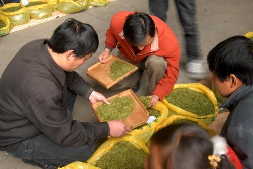 “茶中茅台”会出现吗？疫情催化茶行业转型升级