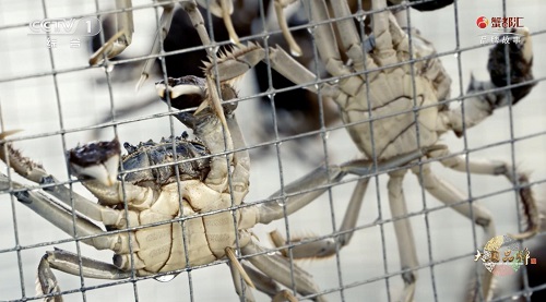 1599444358638049086.jpg 图片2.jpg