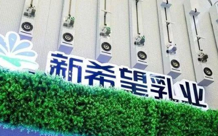 上市一年半新乳业显疲态？