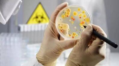 4批次食品不合格 涉微生物污染等问题