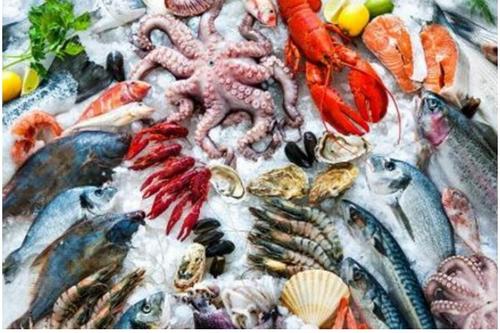 不得承运无法提供进货来源的进口冷链食品