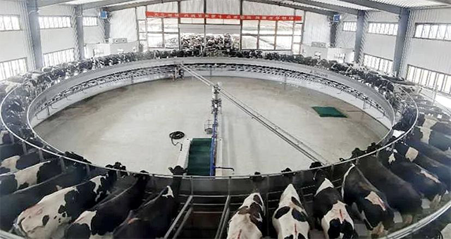 1604396115894740.png 20201103007.png