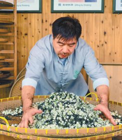 福州茉莉花茶传统工艺传承人傅天龙