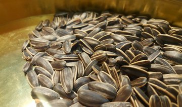 脱粒机械给葵花籽加工产业插上科技翅膀 