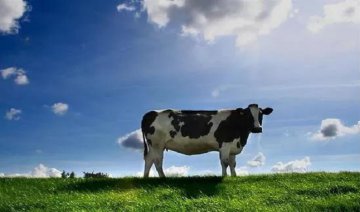 配方化盛行，有机奶粉陷入升级旋涡？