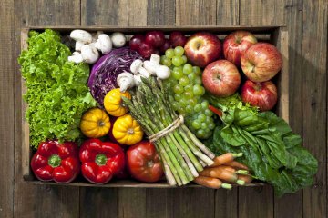 2020中国（寿光）国际蔬菜种业秋季博览会开幕