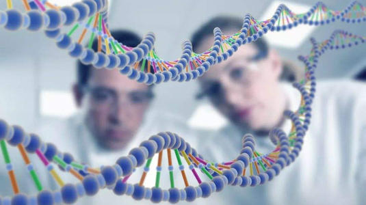 “基因编辑食品”将在日本首获上市批准