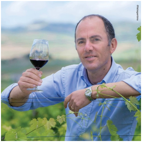 1608098239566810.png image.png